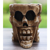 Ashtray Skull, Handmade From Albesia Wood