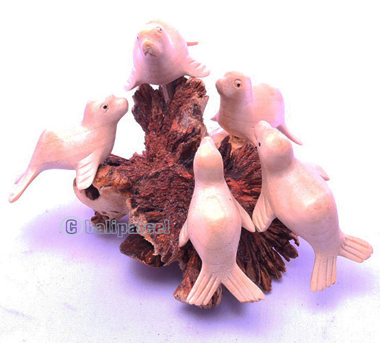 Wooden 5 Sea Dog With Parasite Wood