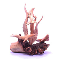 Wooden 3 Dolphins With Parasite Wood
