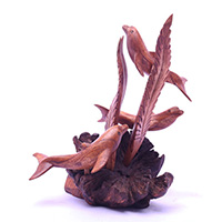 Wooden 3 Dolphins With Parasite Wood