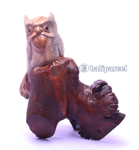 Wooden Owl With Parasite, Handmade From Suar Wood