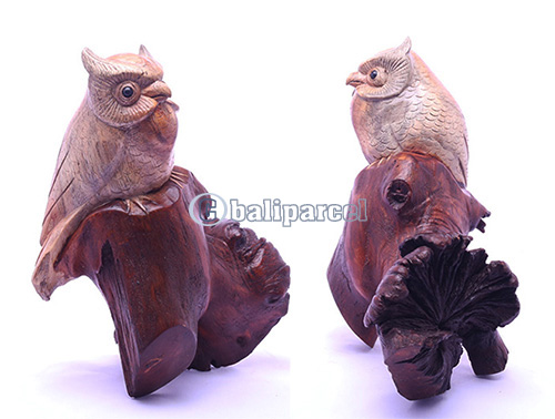 Wooden Owl With Parasite, Handmade From Suar Wood