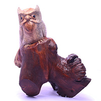 Wooden Owl With Parasite, Handmade From Suar Wood