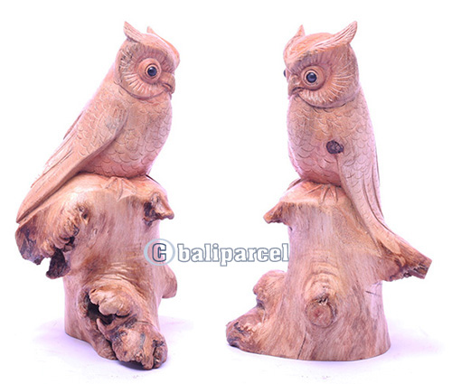 Wooden Owl With Parasite, Handmade From Suar Wood
