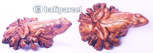 Wooden Frog With Parasite Wood
