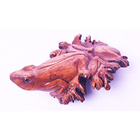 Wooden Frog With Parasite Wood