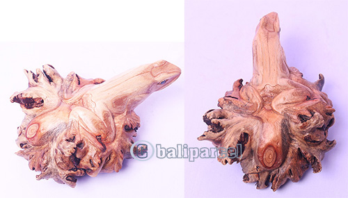 Wooden Frog With Parasite Wood