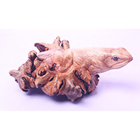 Wooden Frog With Parasite Wood