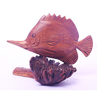 Wooden Fish With Parasite Wood