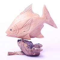 Wooden Fish With Parasite Wood