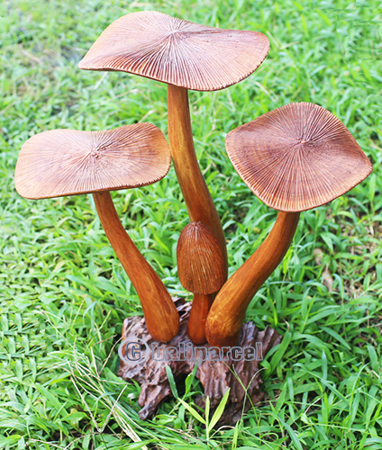 Wooden Mushrooms With Parasite Wood