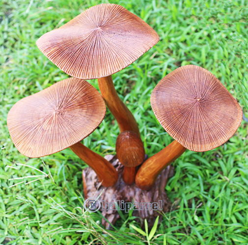 Wooden Mushrooms With Parasite Wood