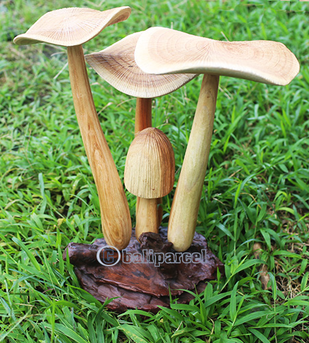 Wooden Mushrooms With Parasite Wood