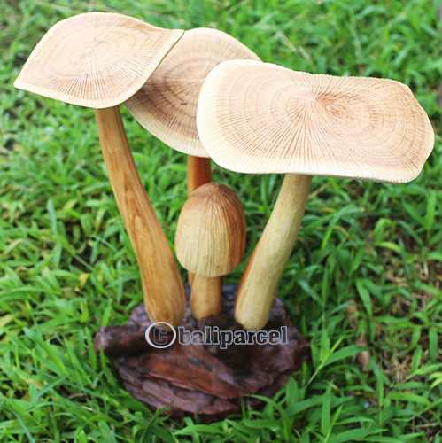 Wooden Mushrooms With Parasite Wood