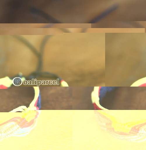 String Bracelet