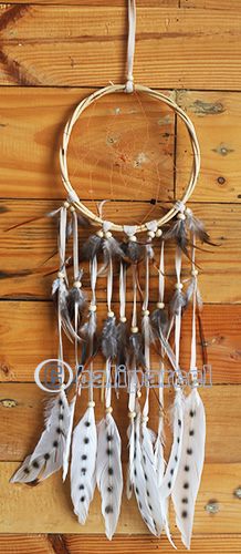 Dream Chatcher