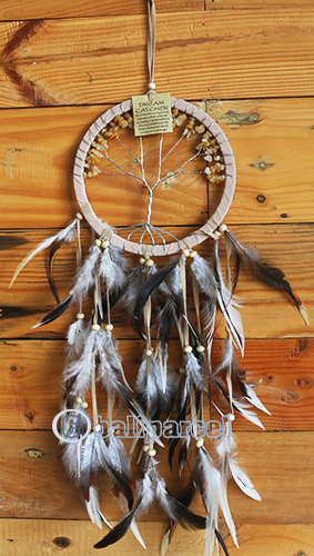 Dream Chatcher Tree