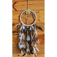 Dream Chatcher Tree