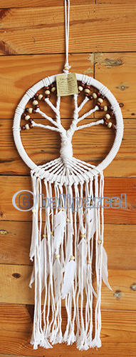 Dream Chatcher Tree
