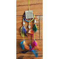 Dream Chatcher Rainbow