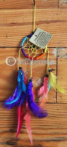 Dream Chatcher Rainbow