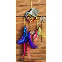 Dream Chatcher Rainbow