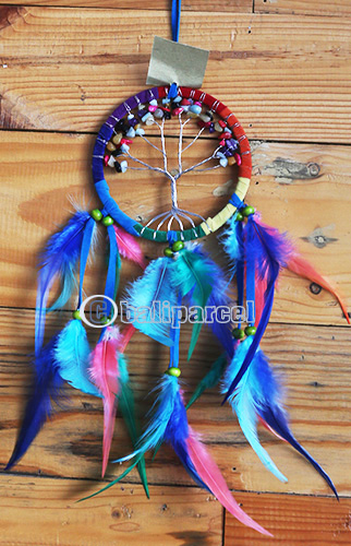 Dream Chatcher Rainbow Tree