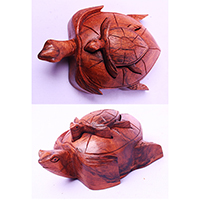 Wooden Box With Turtle, Hand Made From Suar Wood