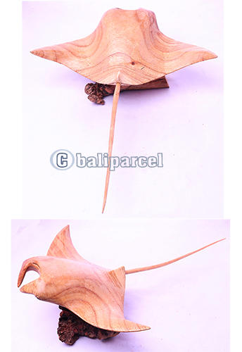 Wooden Manta Ray With Parasite, Handmade From Suar Wood