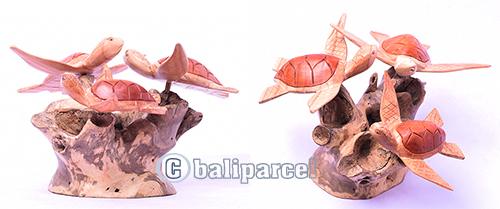 Wooden 3 Turtles With Parasite Wood