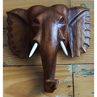 Wooden Wallhanging Elephant Head, Hand Made From Suar Wood