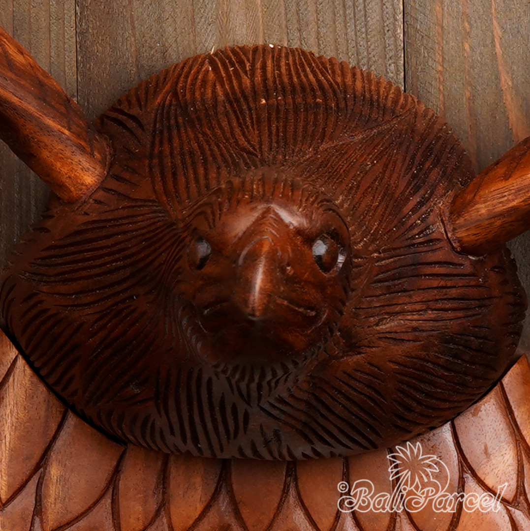 Wallhanging Wooden Eagle Mirror Handmade From Suar Wood