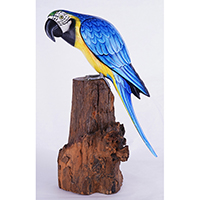 Wooden Parrot Bird With Painted, Handmade From Albesia Wood