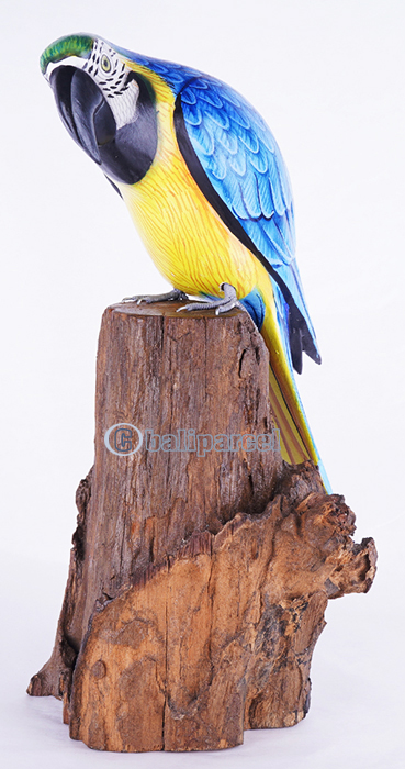 Wooden Parrot Bird With Painted, Handmade From Albesia Wood