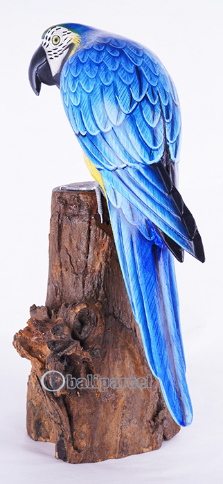Wooden Parrot Bird With Painted, Handmade From Albesia Wood