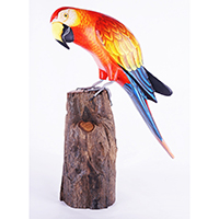 Wooden Parrot Bird With Painted, Handmade From Albesia Wood