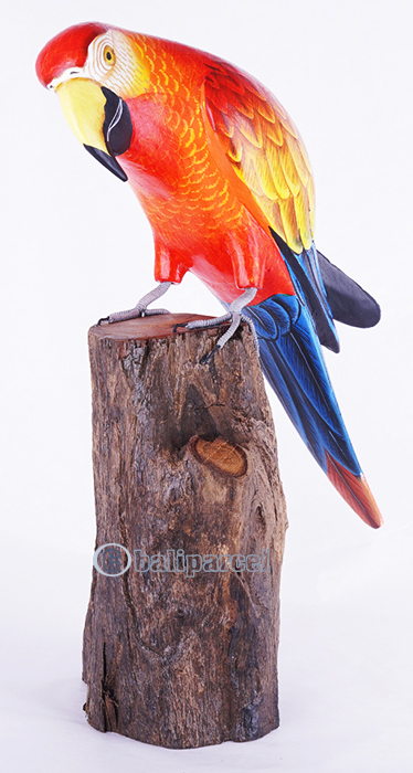 Wooden Parrot Bird With Painted, Handmade From Albesia Wood
