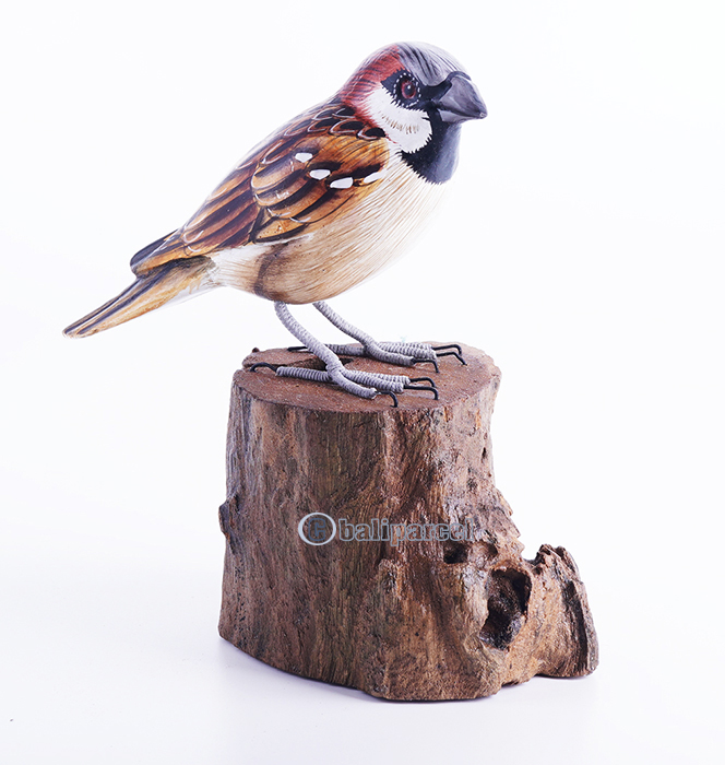 Wooden Bird With Painted, Handmade From Albesia Wood