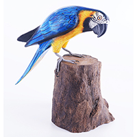 Wooden Parrot Bird With Painted, Handmade From Albesia Wood