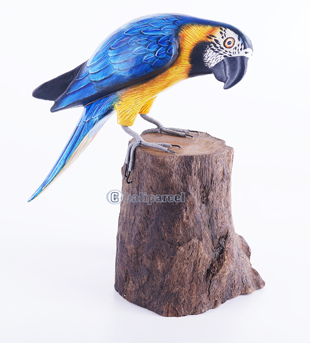 Wooden Parrot Bird With Painted, Handmade From Albesia Wood