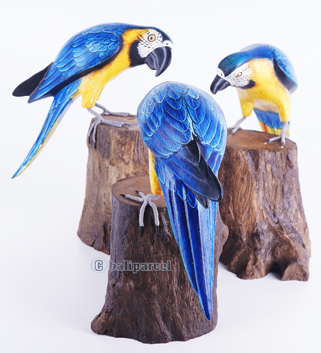 Wooden Parrot Bird With Painted, Handmade From Albesia Wood
