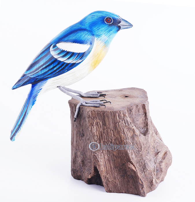Wooden Bird With Painted, Handmade From Albesia Wood