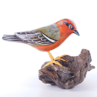 Wooden Bird With Painted, Handmade From Albesia Wood