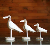 Wooden Bird Set Of 3, Handmade From Albesia Wood