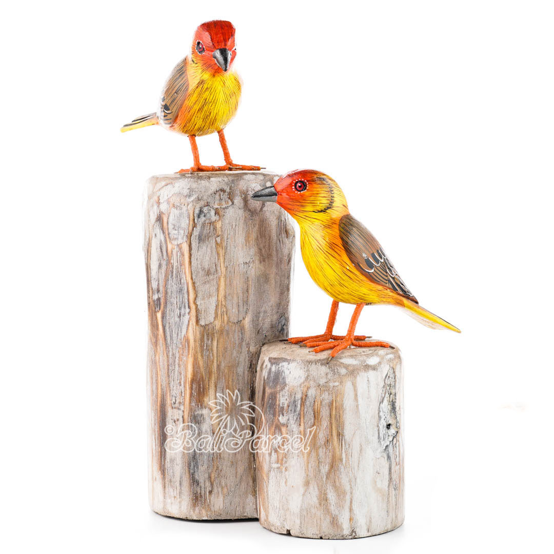 Wooden 2 Bird With Painted, Handmade From Albesia Wood