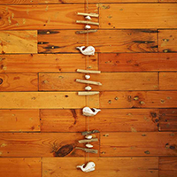 Wooden Wall Hanging Dolphins, Handmade From Albesia Wood