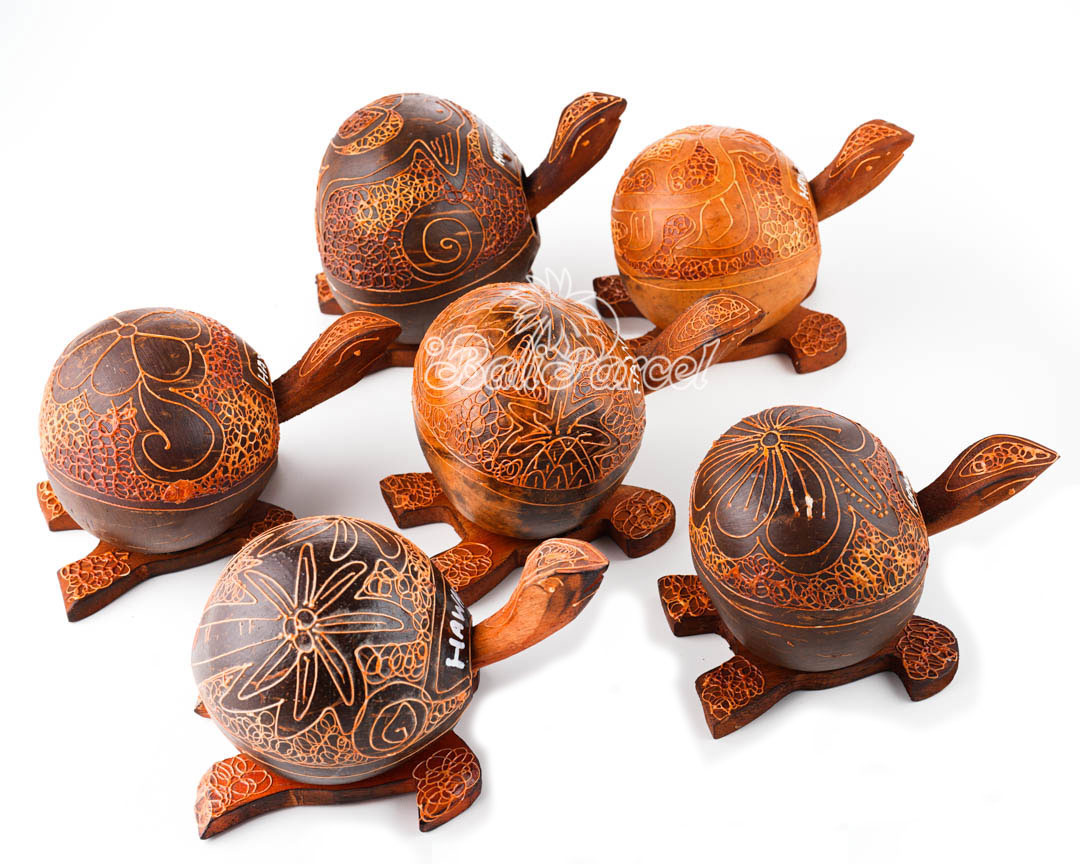 Assorted Knocking Turtle, Handmade From Coconut Wood