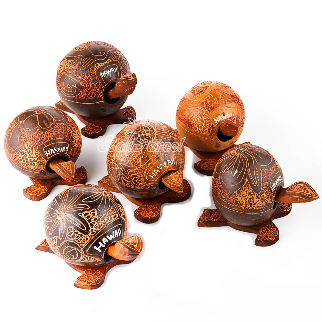 Assorted Knocking Turtle, Handmade From Coconut Wood
