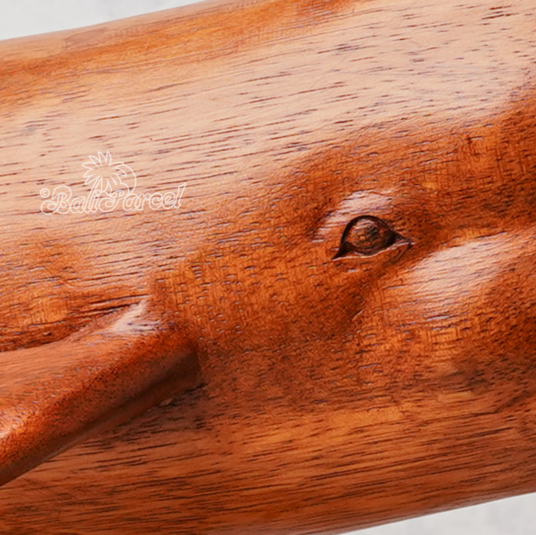 Wooden Sperm Whale With Stand, Handcarved From Suar Wood