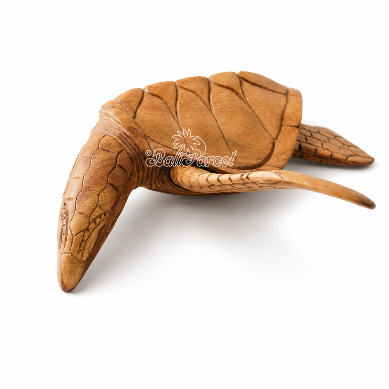 Wooden Wallhanging Turtle, Handmade From Suar Wood